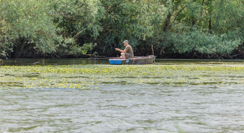 Még a rutinos horgászokat is meglepte, amit a harcsa gyomrában találtak