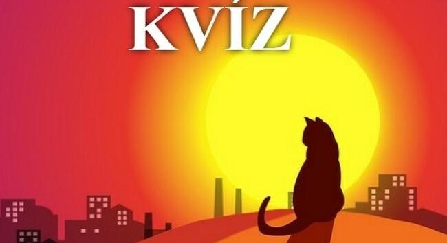 Ez a frissen facsart agykarbantartó kvíz egy megálló a mindennapi rohanásban