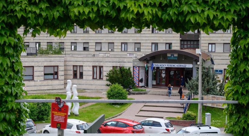 Ágyipoloska-csípéseket észlelt magán egy nő a veszprémi kórház újszülött részlegén