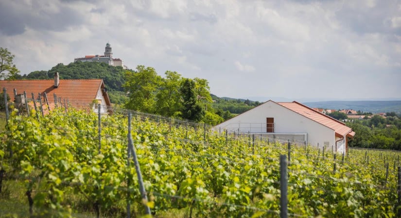 Pannonhalmi siker a legszebb szőlőbirtokok között