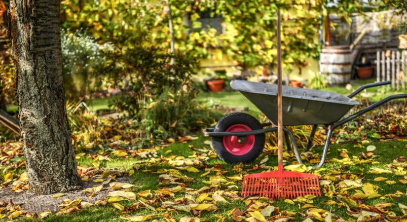 Miért ne takarítsd ki alaposan a kertedet ősszel? Ennek ez az oka