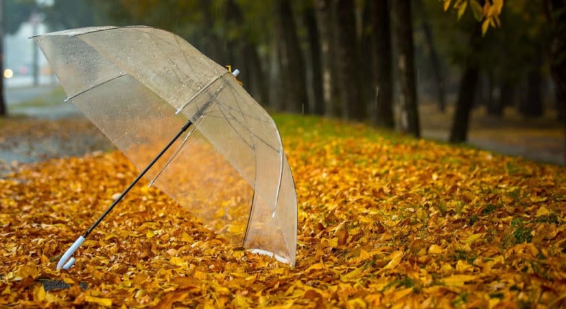 Nem lesz séta a parkban – Eső és hűvös idő várható a forradalmi hosszú hétvégén