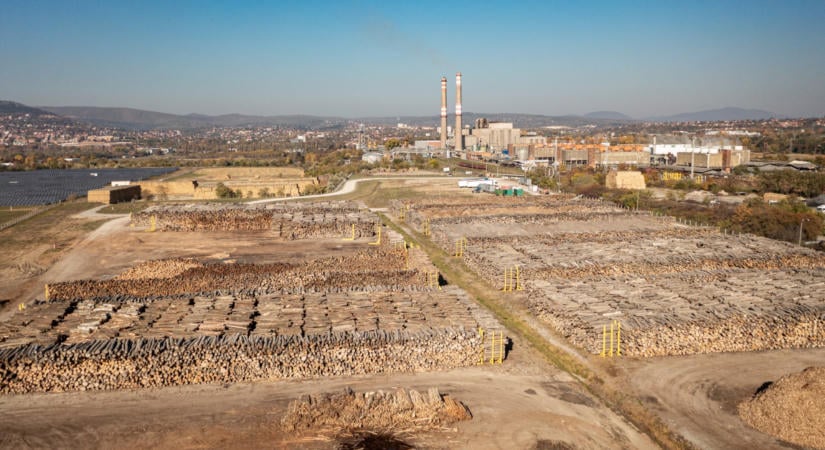 Nemzeti parkjaink erdei égnek a biomassza-erőművekben