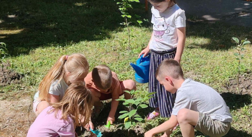 Őszi faültetésre buzdítanak a Klímanócskák