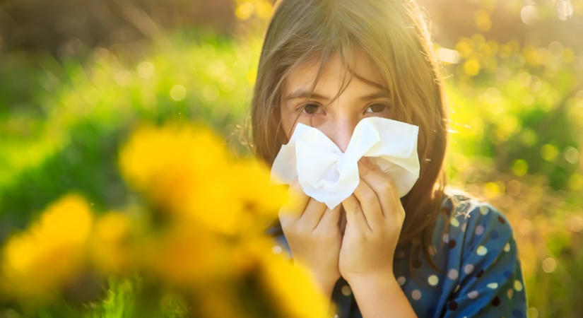 Így mulasztható el a parlagfű allergia: a leghatékonyabb módszerek egy helyen