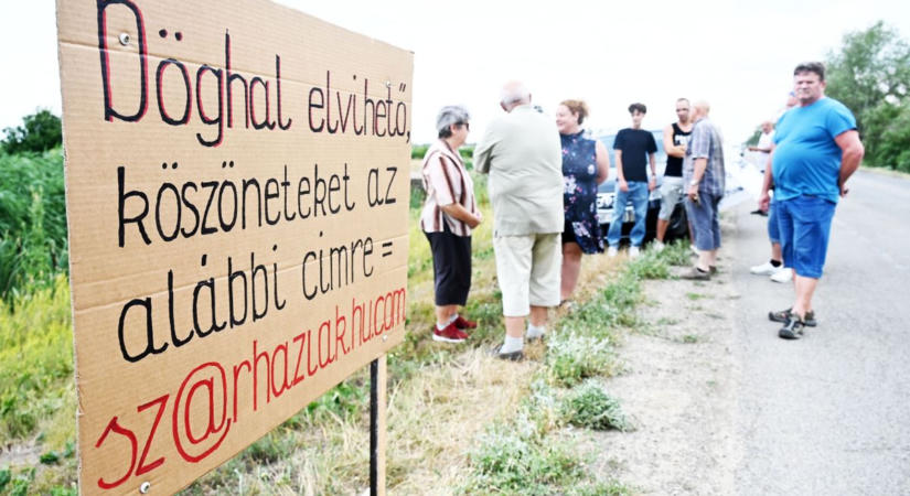 Sötét víz, elpusztult halak és orrfacsaró bűz: kiderült az igazság a karcagi csatornaszennyezésről