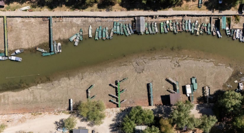 Ilyet még nem láttak a Tisza-tónál, kétharmadára csökkent a vízfelület