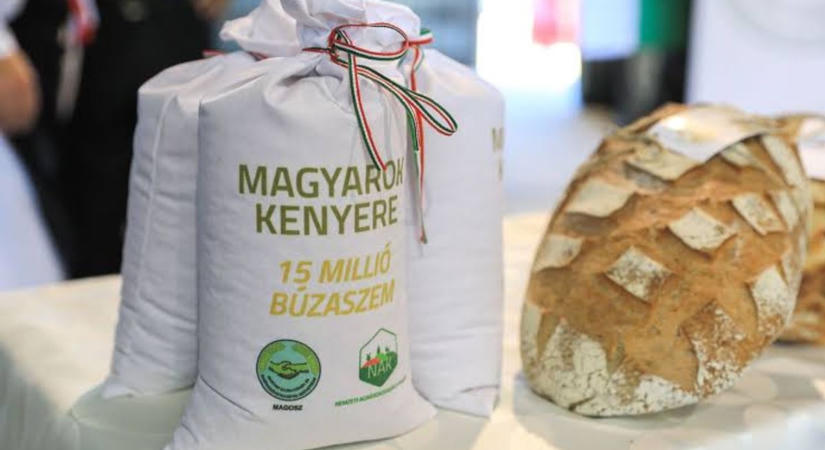 Gyűlik a gabona a Magyarok kenyeréhez - mutatjuk a Győr-Moson-Sopron megyei gyűjtőpontokat