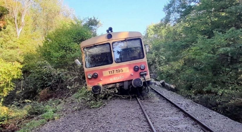 Fának ütközött és kisiklott egy személyvonat Dombóvárnál
