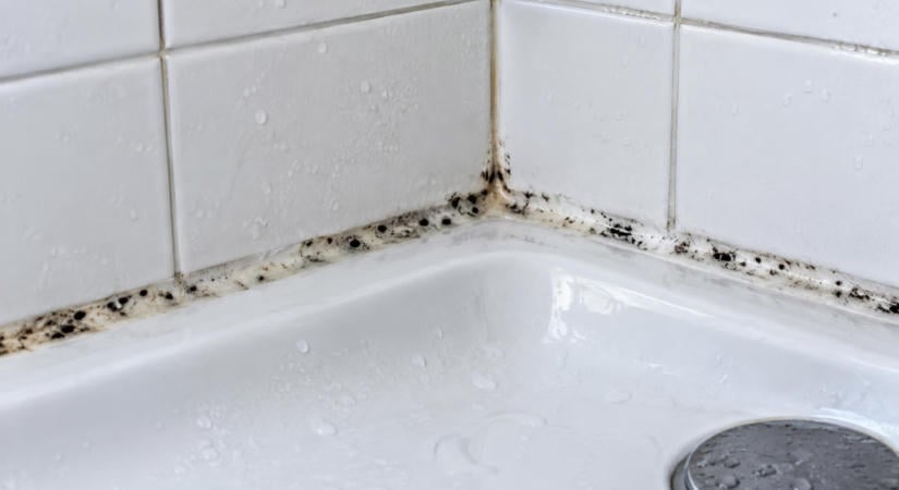 Ha fekete foltok jelennek meg a fürdőszobai szilikonon, erre érdemes figyelni