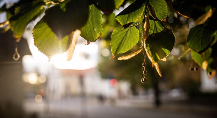 Napfény, felhők, egy kis bizonytalanság – ilyen lesz a péntek Szolnokon