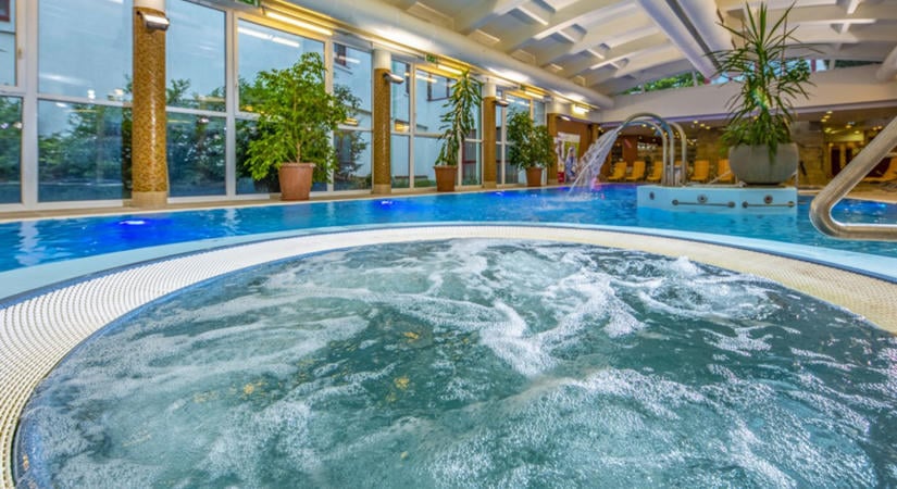 Dráva Hotel Harkány – a tökéletes feltöltődés helyszíne, négylábú kedvenceddel is