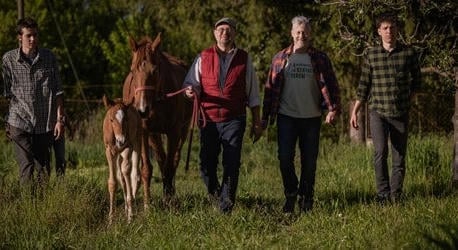 Élet, érzés, Kalaznó: újra hív a vidék