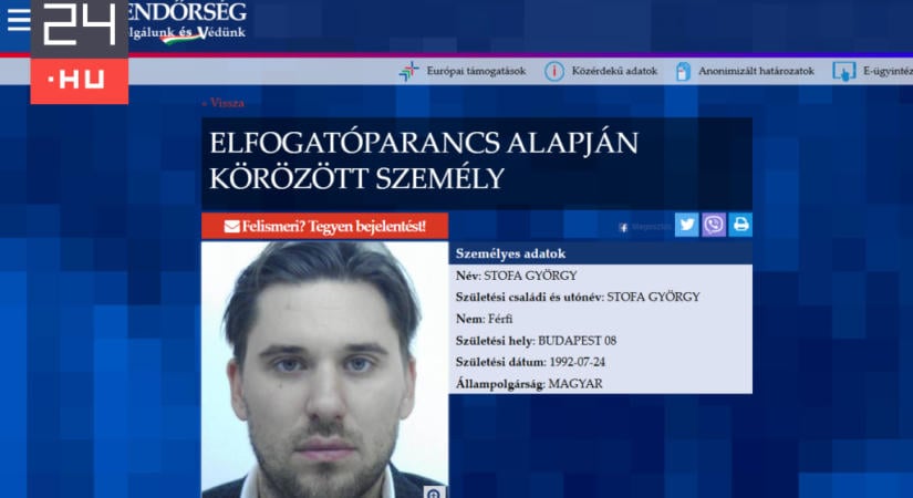 Bezuhant a nemzetközi szinten körözött Stofa György bútorcégének bevétele
