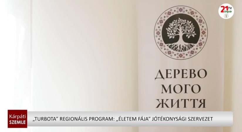 „Turbota” regionális program: „Életem fája” jótékonysági szervezet (videó)