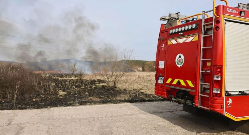 Pusztító tűz a 36-os főút mellett: pillanatok alatt terjedni kezdek a lángok, rohantak a tűzoltók!