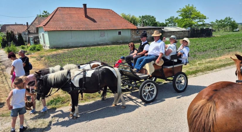 Lovasok, fogatok, néptáncosok és mazsorettesek is felvonulnak Péren