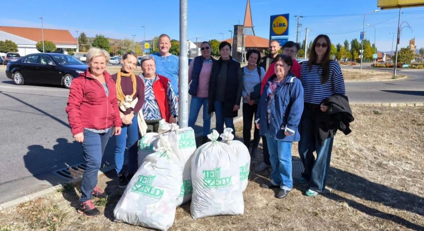 Több zsáknyi szemét került elő a 37-es főút mellett – összefogtak a tisztább környezetért