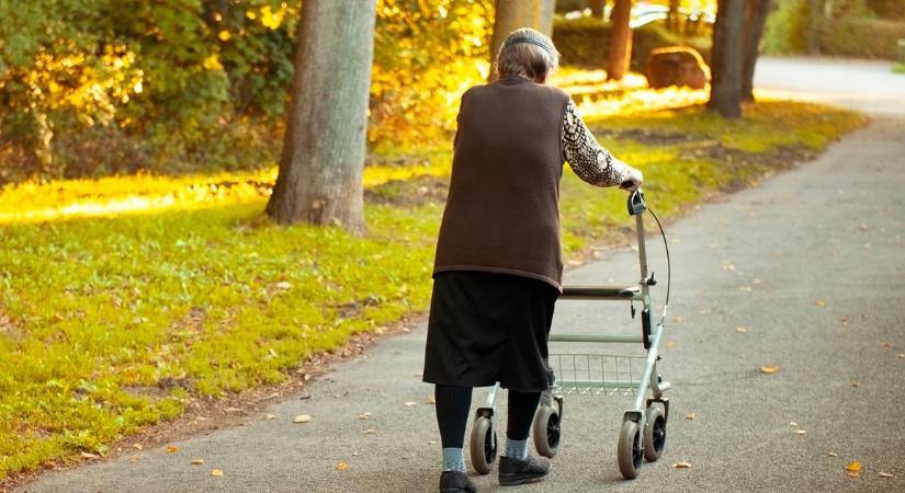 Eltűnt egy 84 éves nagymama Veresegyházról, segítsen, ha látta!