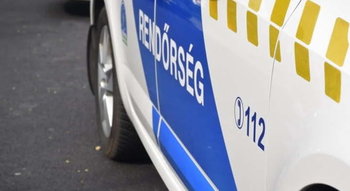 Feldühítette egy kölyökkutya, felakasztotta egy fára