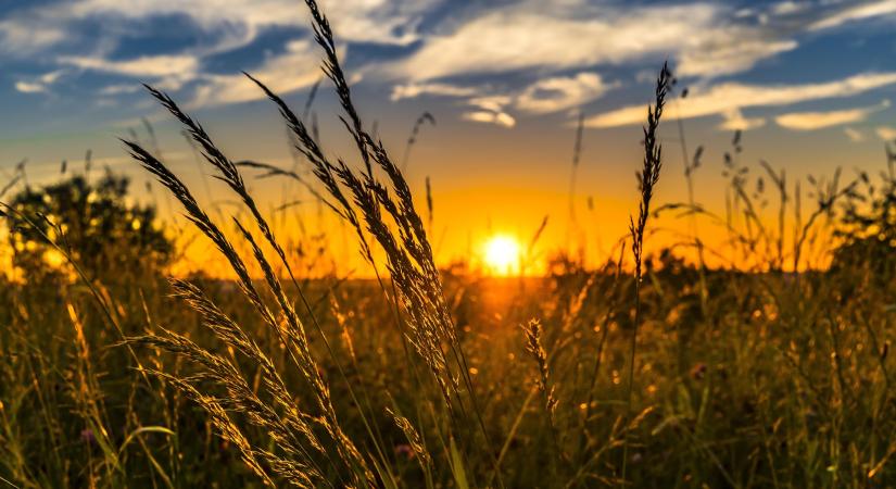 Bóna Szabolcs: ideje visszaadni az agrárkamarát a gazdálkodóknak