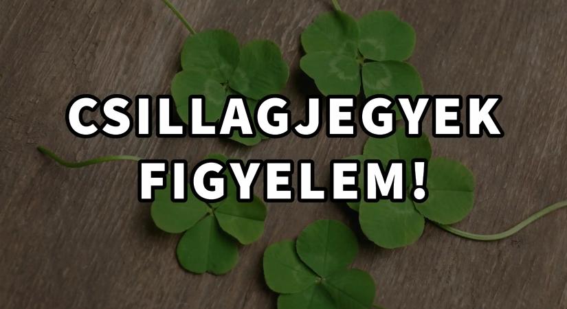 A kínai horoszkóp szerint ez a 6 csillagjegy lesz augusztus nyertese
