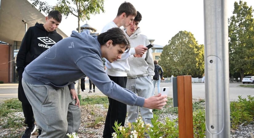 Bárki kipróbálhatja Kaposvár új, állandó tájfutópályát a MATE Campuson