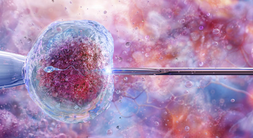 Újabb súlyos spermadonor-botrány
