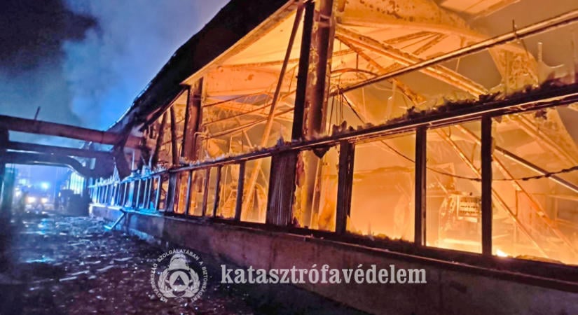 Visegrádi tűzhöz siettek az esztergomi tűzoltók