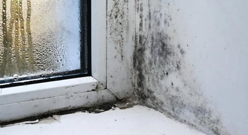 15 perc is elég lehet: ezzel az egyszerű trükkel megelőzheted a penészt az otthonodban