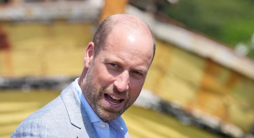 Tényleg nem Károly király Vilmos herceg édesapja? A DNS-tesztnél is pontosabb módszerrel fejtették meg a királyi titkot