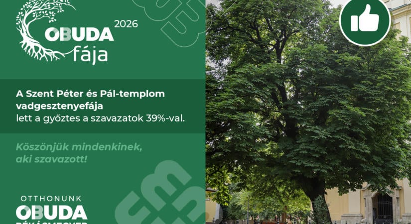 Íme, az Óbuda Fája 2026 szavazás győztese!