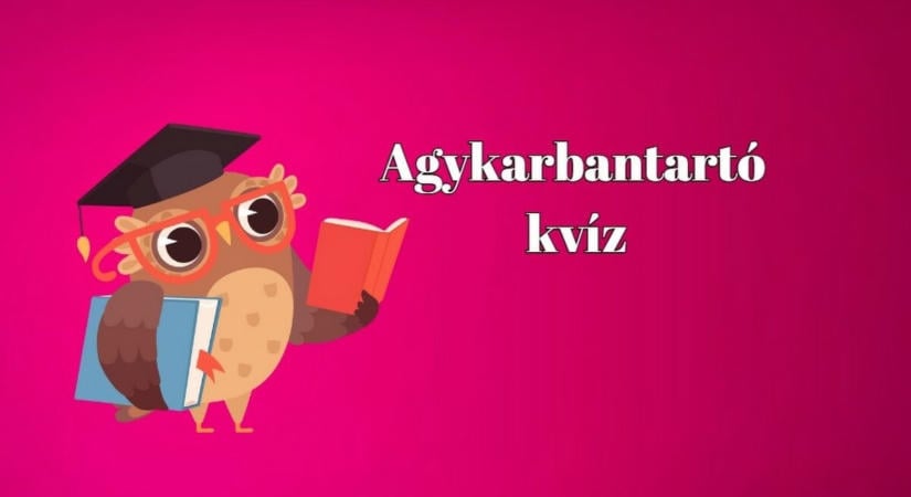 Ennek a napi kvíznek a lényege a könnyed játék - de attól még lehet benne komoly kérdések