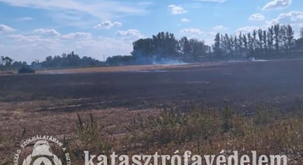 Tarlótűz veszélyeztette a tanyát Medgyesegyházánál