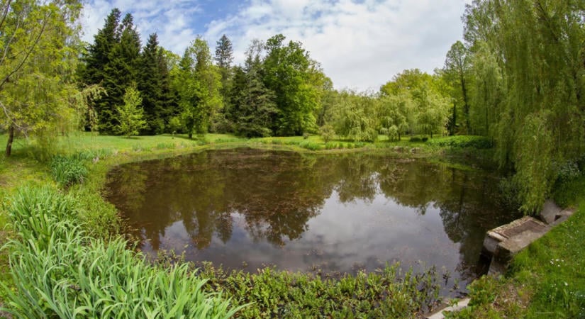 Budafai Arborétum, Kiscsehi