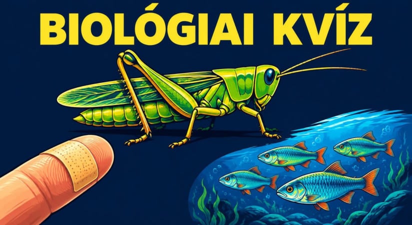 Biológiai kvíz: Három válasz közül csak egy helyes, de vajon sikerül legalább hatszor eltalálni?