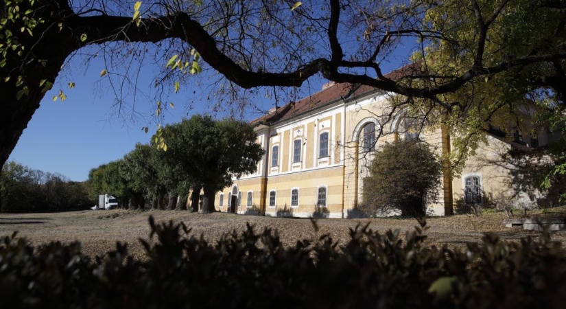 Nézd meg, mit tettek a szorgos kezek az iszkaszentgyörgyi kastélyparkban! ( galéria)