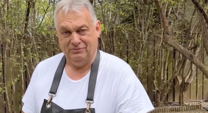 A volt fideszes nyílt levele: „Könnyen az 1-2 százalékos törpepártok sorsára juthatunk”