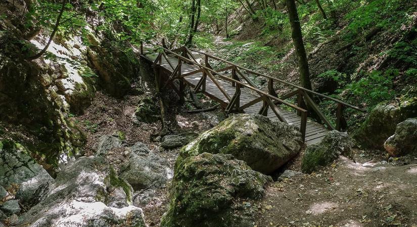 A Pilis egyik legszebb túrája vezet végig a Dera-szurdokon