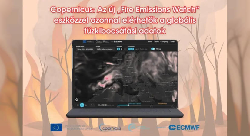 Új alkalmazás segíti az erdőtüzek globális követését