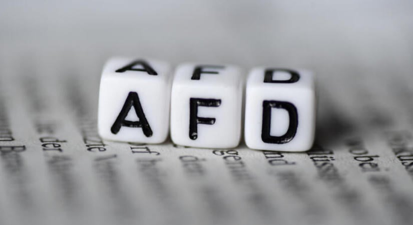 Oroszország ajánlatot tett az AfD-nek