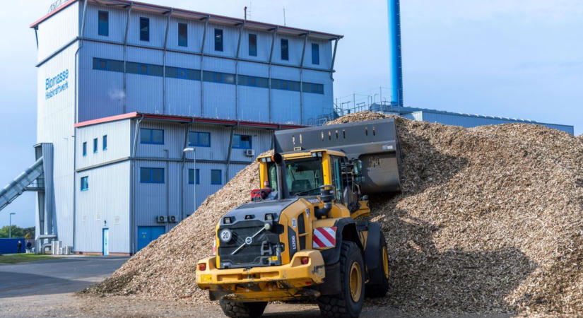 A biomassza valódi értéke nem tonnákban mérhető