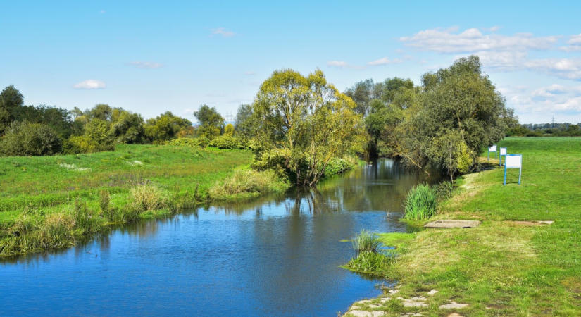 Védett, valamint nem őshonos halfajokat is találtak az Ipolyban