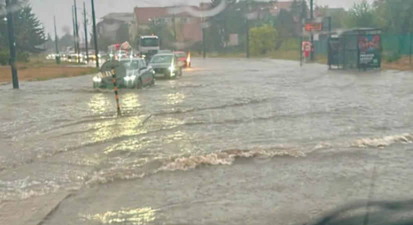 Szupercella csapott le Pozsonyra, fákat döntött ki és autókat rongált meg (FOTÓK)