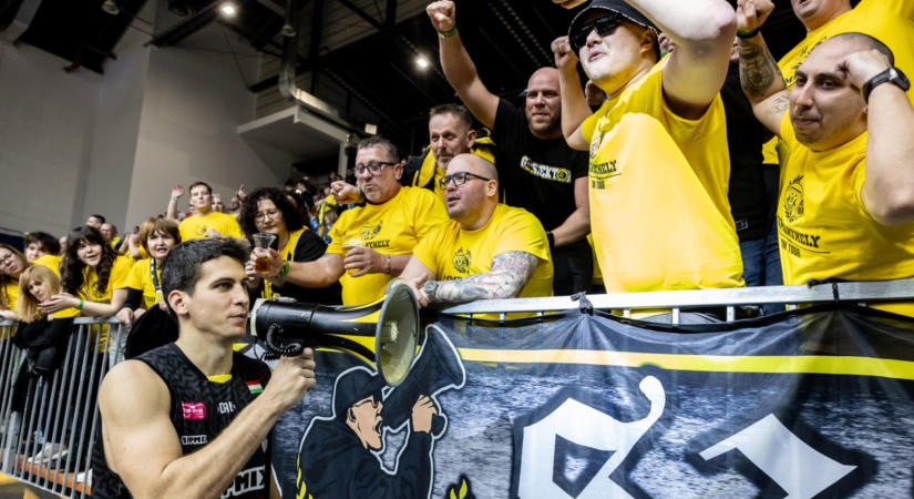 Falco KC: mozgalmas, izgalmas napok jönnek!