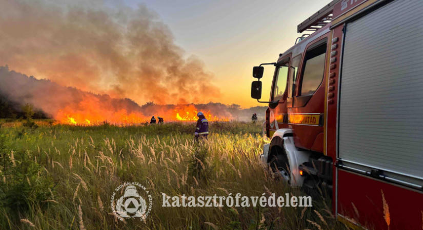 Majdnem sikerült felgyújtani az erdőt Kutason