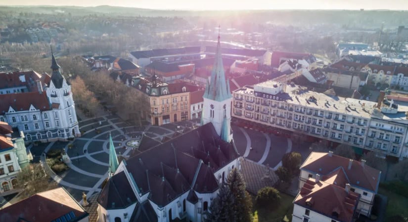 Száz fa száradt ki a nyári hőségben Kaposváron
