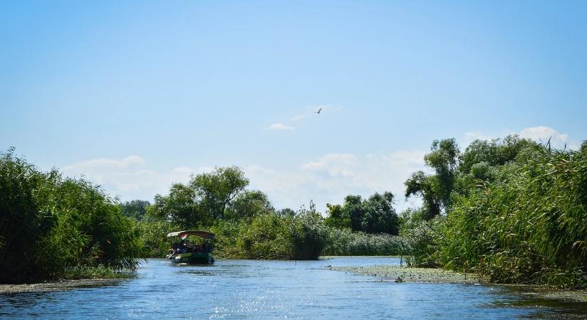 Ez okozza a tömeges kagylópusztulást a Tisza-tavon