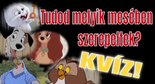 Ismerd fel kvíz: Meg tudod mondani melyik rajzfilmben szerepeltek a képeken látható állatok?