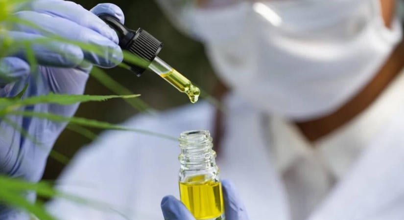 Mire jó a CBD-olaj? A lehetséges előnyök mellett ezekkel a veszélyekkel is számolni kell